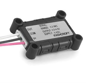 7F563167-5056-A416-145BD302595E0795-small