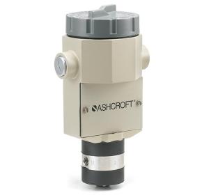 9BB29B9D-5056-A416-14A2046D7C4AB4E2-small