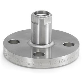 Ashcroft -Flanged Seals