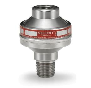 Ashcroft -Threaded Seals